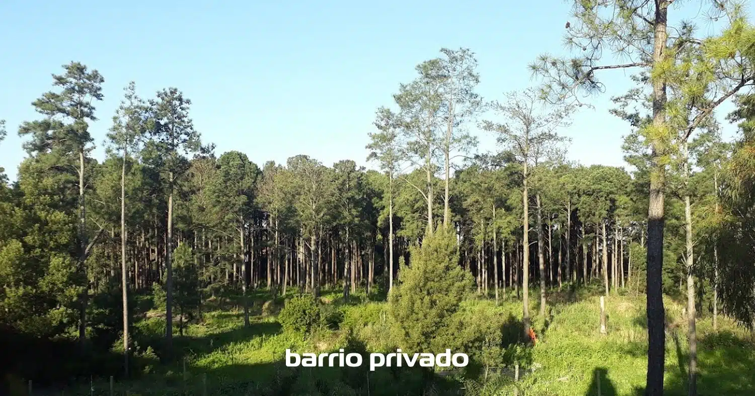 Quintas del Bosque Servicios
