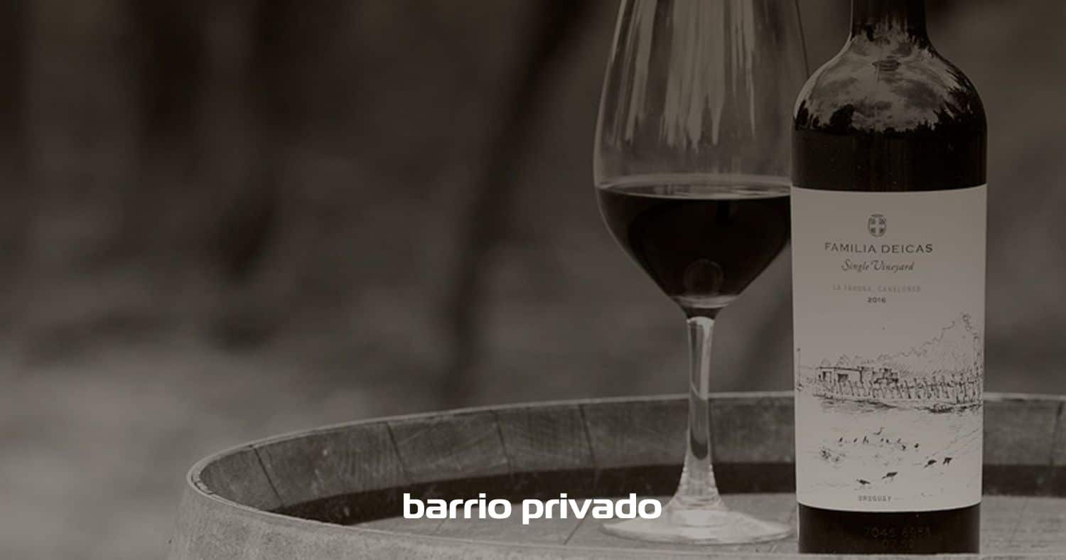 Deicas en Viñedos de la Tahona