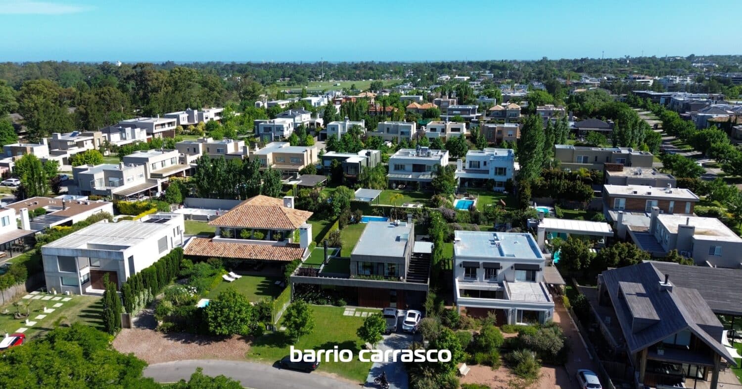 Los Olivos Carrasco