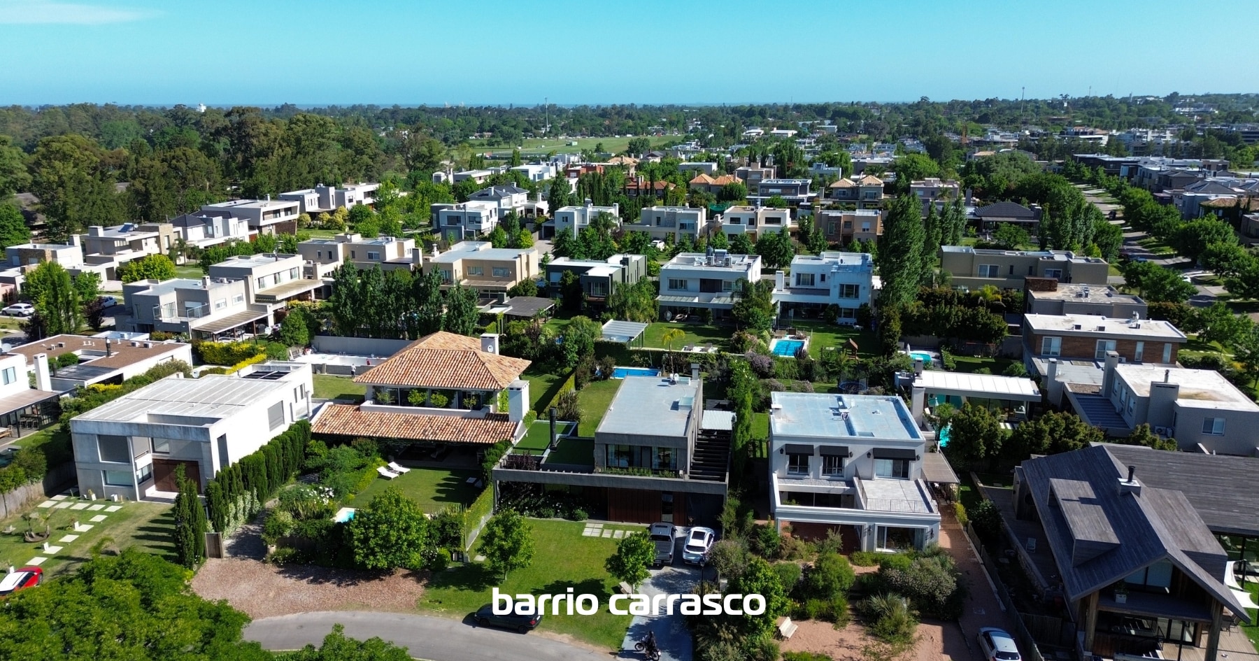 Los Olivos Carrasco
