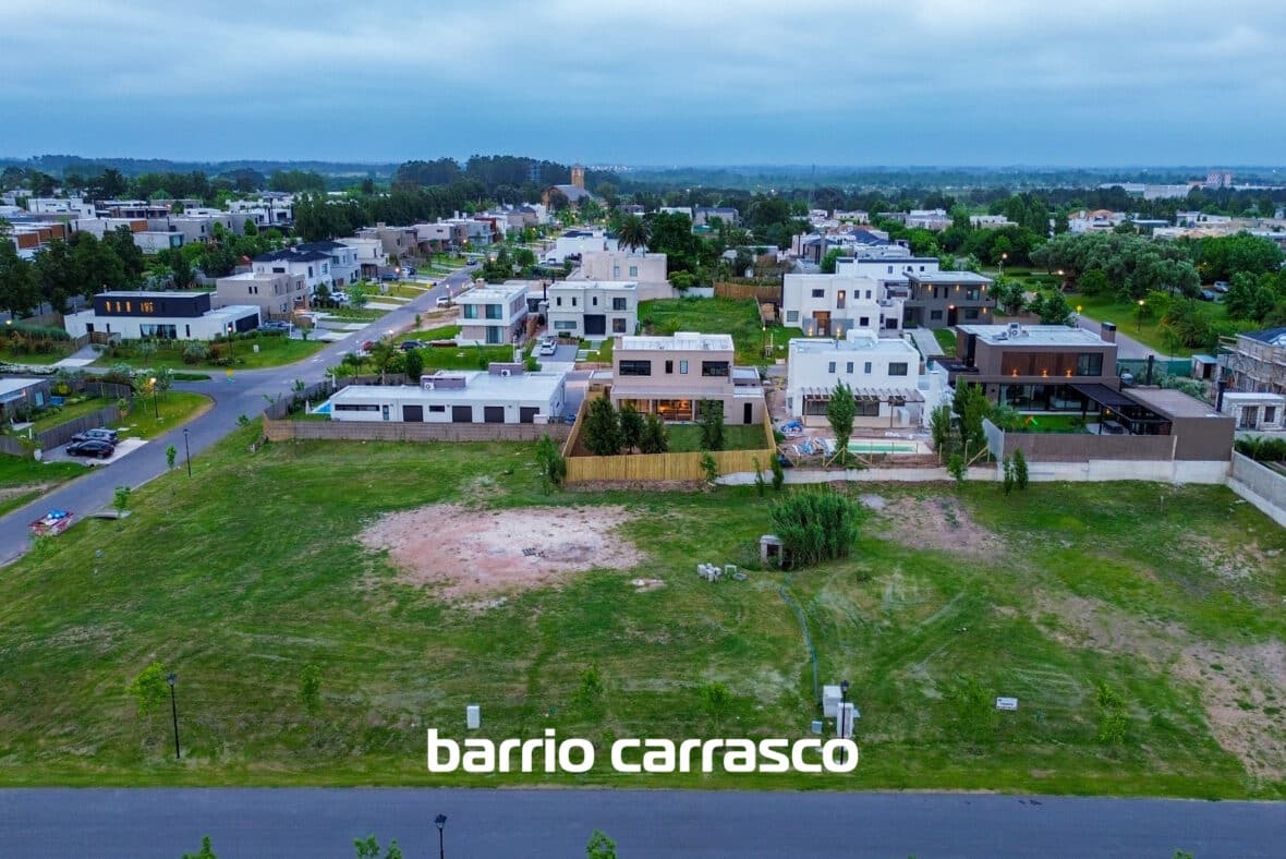 Los Olivos Carrasco