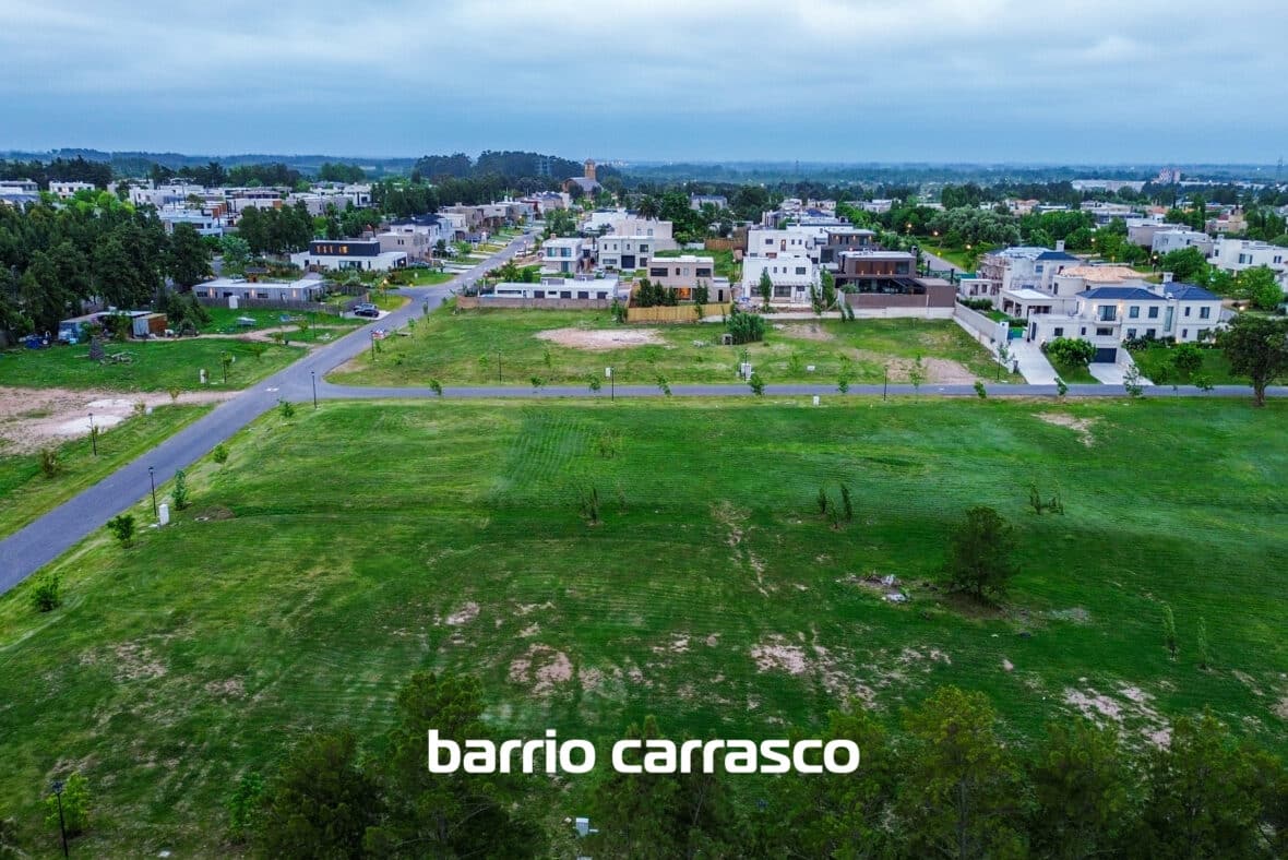 Los Olivos Carrasco