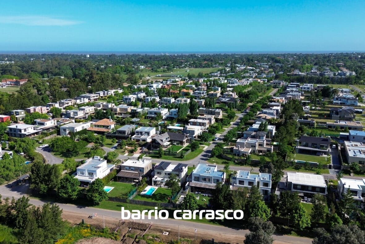 Los Olivos Carrasco