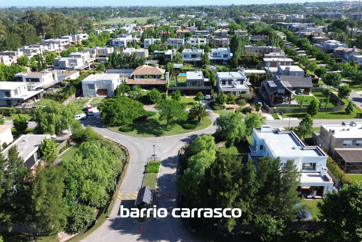 Los Olivos Carrasco