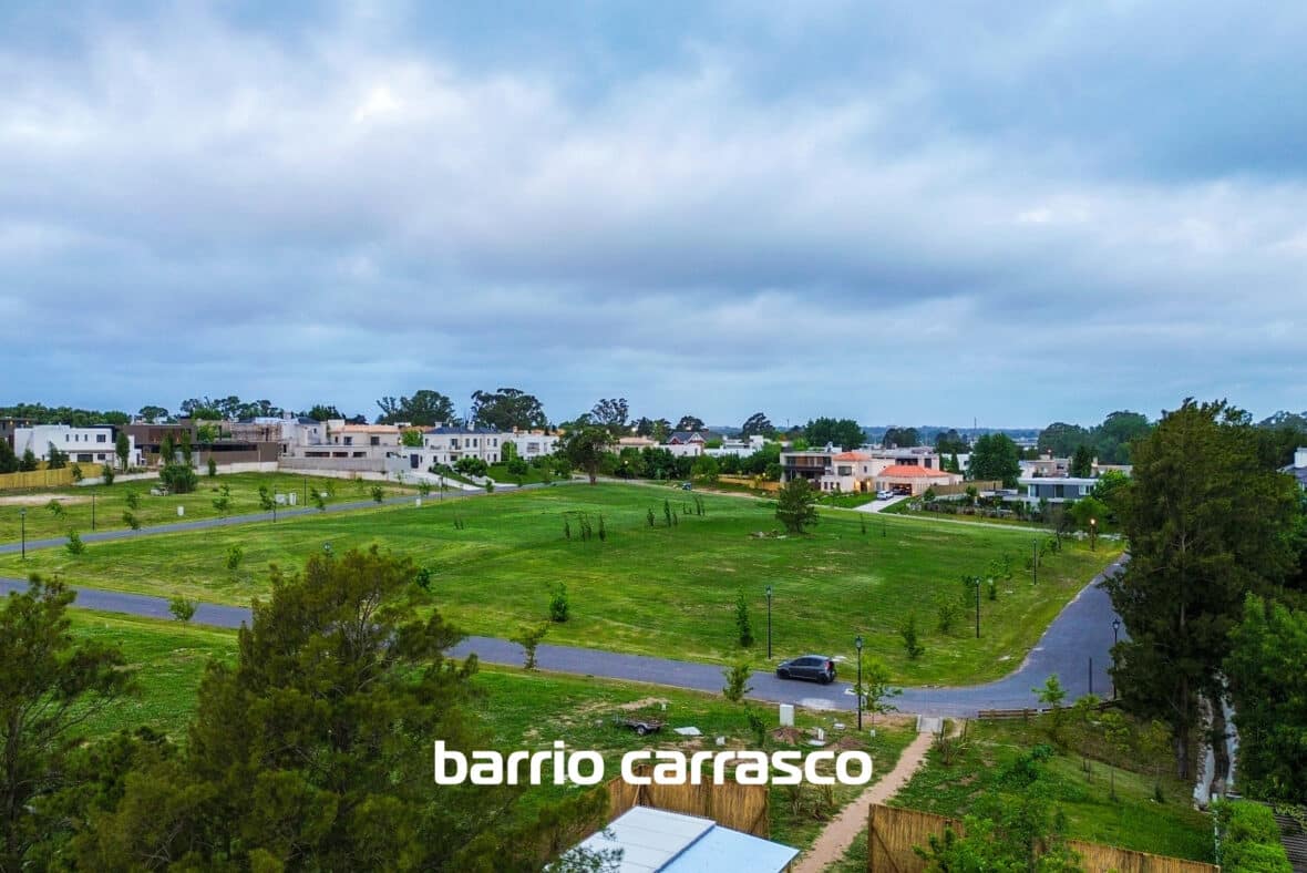 Los Olivos Carrasco