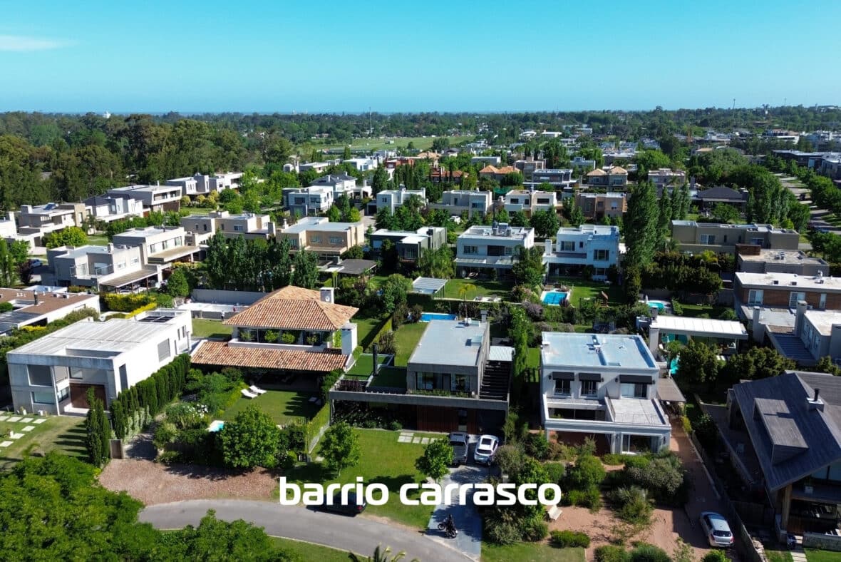 Los Olivos Carrasco