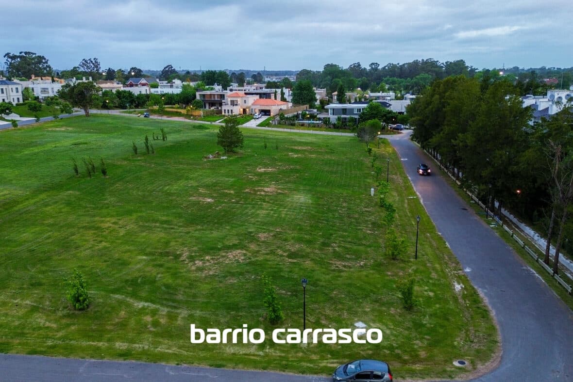 Los Olivos Carrasco