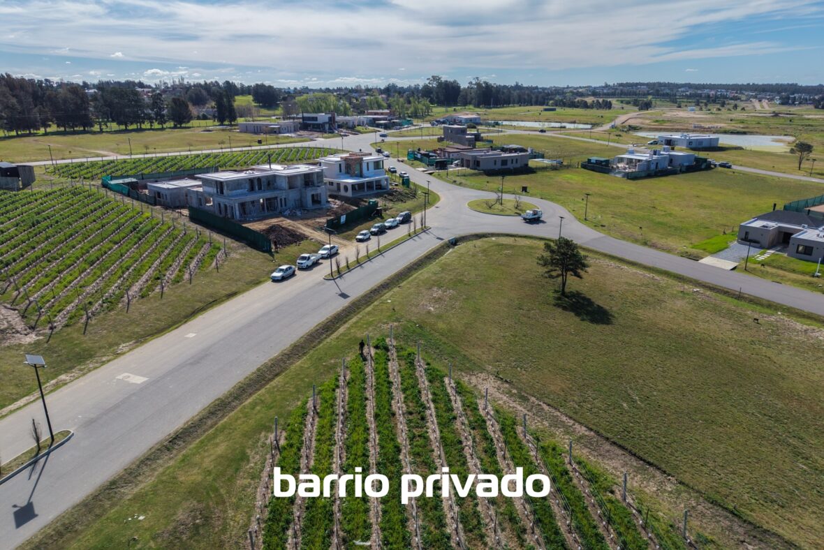 Cavas de la Tahona