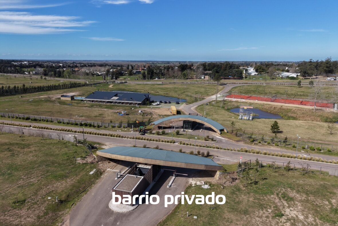 Los Olivos de los Horneros