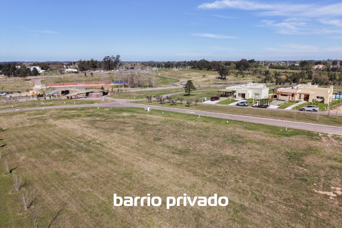 Los Olivos de los Horneros
