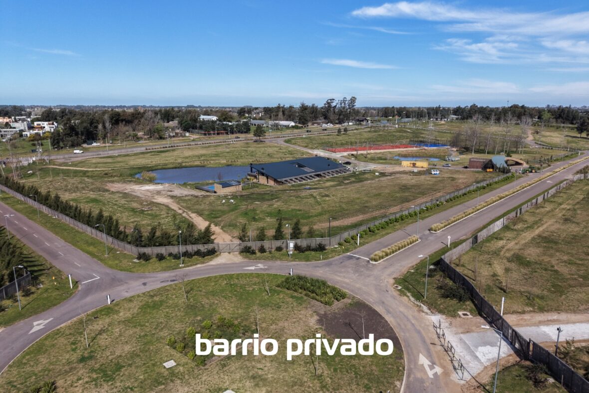 Los Olivos de los Horneros