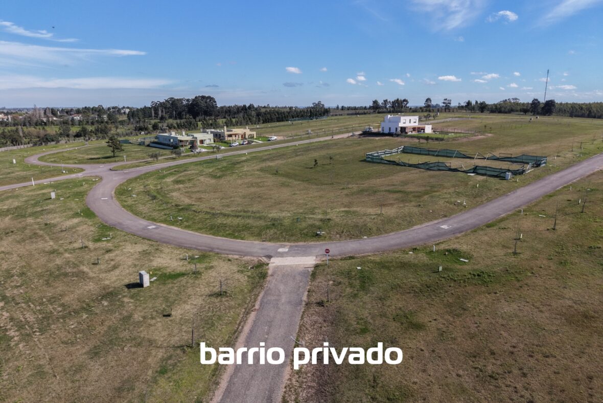 Los Olivos de los Horneros