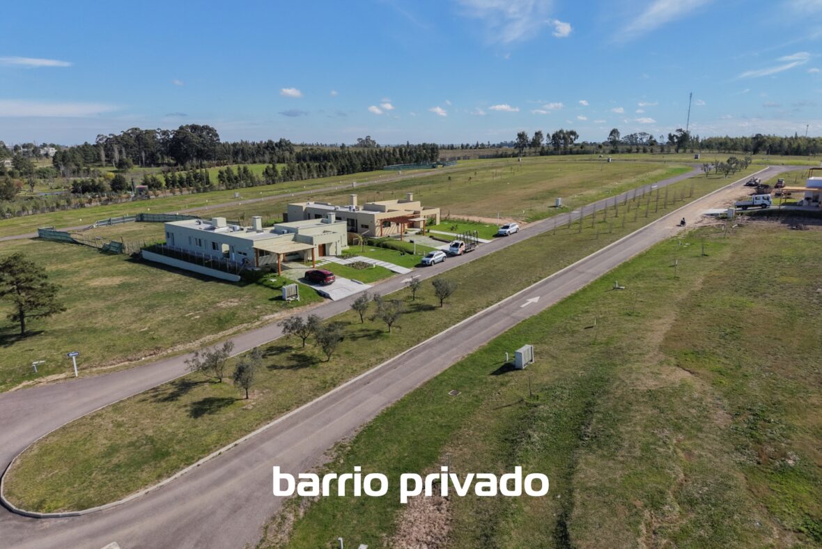 Los Olivos de los Horneros
