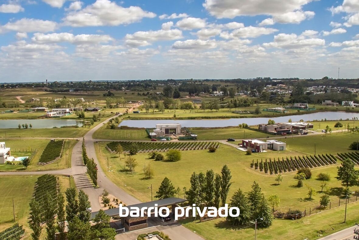 Viñedos de la Tahona